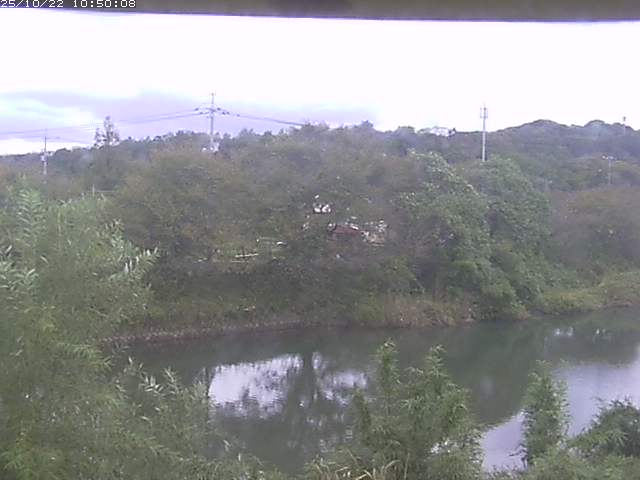 勝部川１2025/10/22 11:20:00