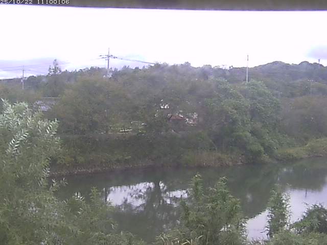 勝部川１2025/10/22 11:20:00