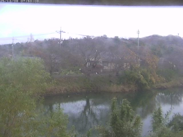 勝部川１2025/12/08 11:30:00