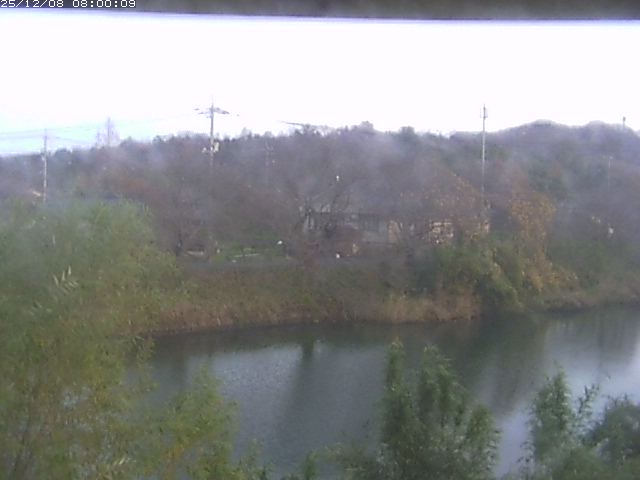 勝部川１2025/12/08 11:30:00