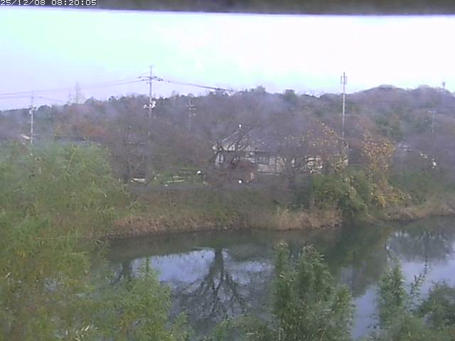 勝部川１2025/12/08 11:30:00