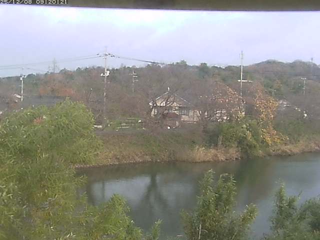 勝部川１2025/12/08 11:30:00