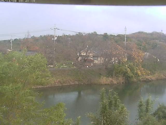 勝部川１2025/12/08 11:30:00