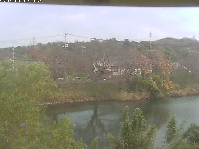 勝部川１2025/12/08 11:30:00