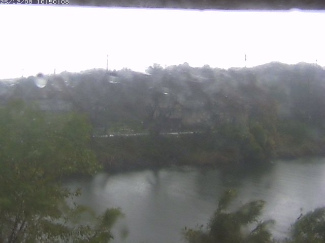 勝部川１2025/12/08 11:30:00