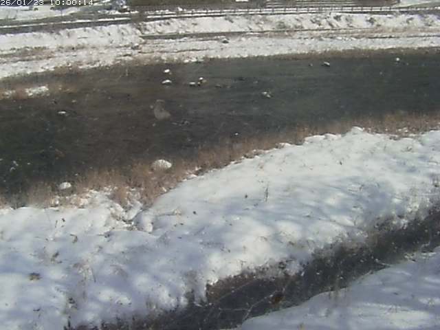 三徳川１2026/01/24 2:20:00