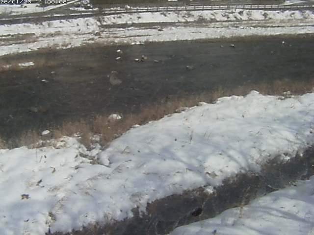 三徳川１2026/01/24 2:20:00