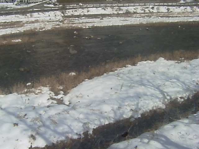 三徳川１2026/01/24 2:20:00