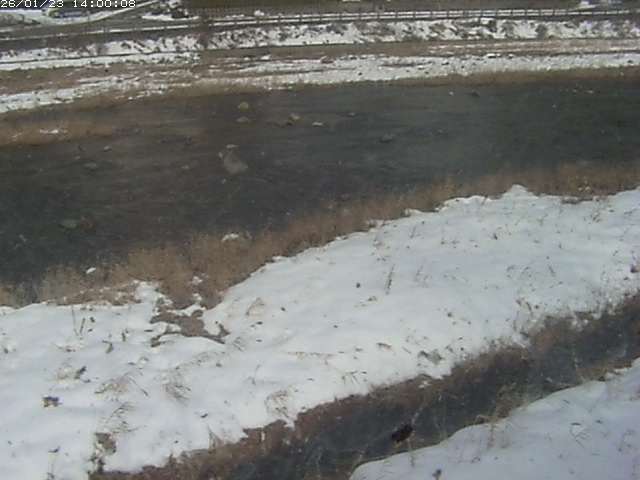 三徳川１2026/01/24 2:20:00