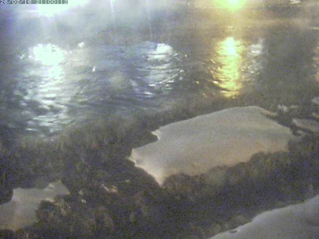 三徳川１2026/02/17 18:20:00