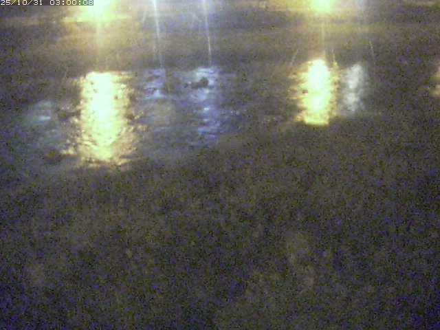 三徳川12025/11/01 0:00:00