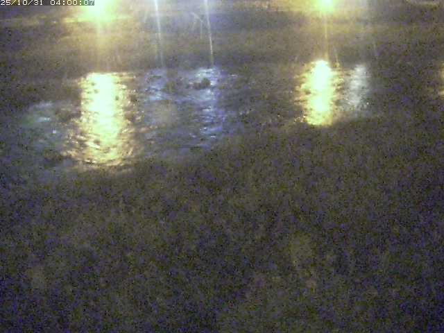 三徳川12025/11/01 0:00:00