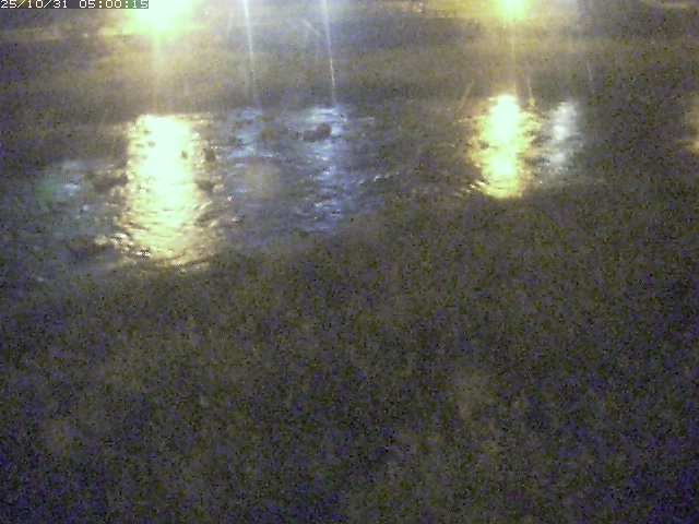 三徳川12025/11/01 0:00:00