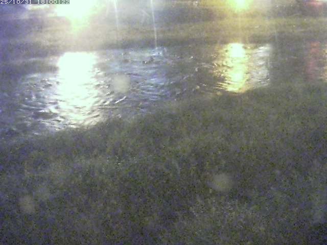 三徳川12025/11/01 0:00:00