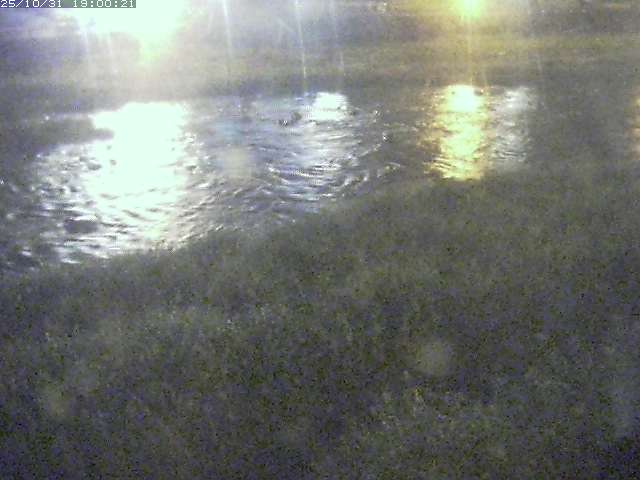 三徳川12025/11/01 0:00:00