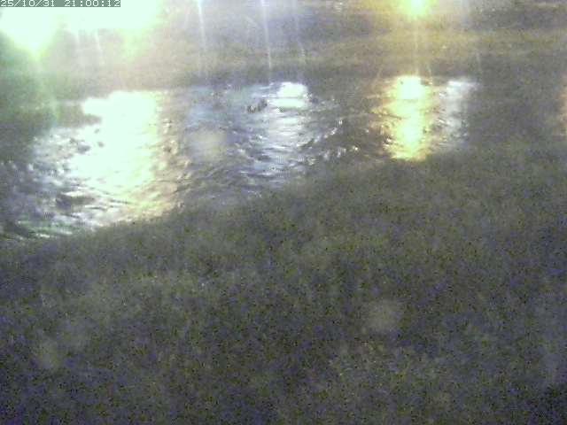 三徳川12025/11/01 0:00:00