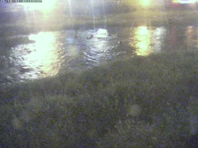 三徳川12025/11/01 0:00:00