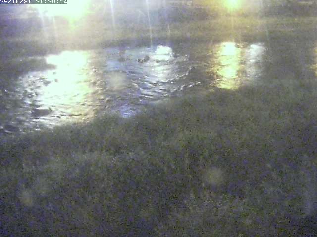 三徳川12025/11/01 0:00:00