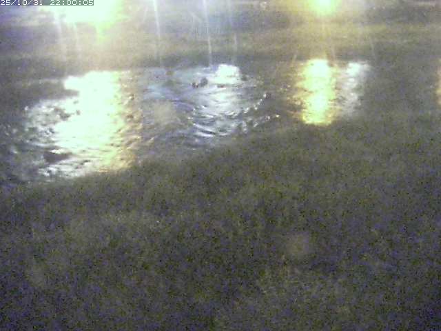 三徳川12025/11/01 0:00:00