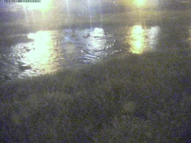 三徳川12025/11/01 0:00:00