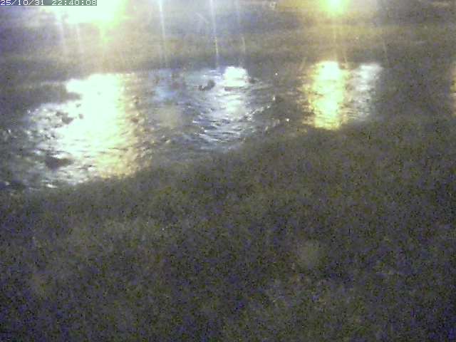 三徳川12025/11/01 0:00:00