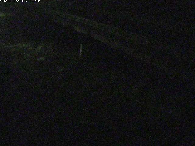 精進川１2026/02/25 4:20:00