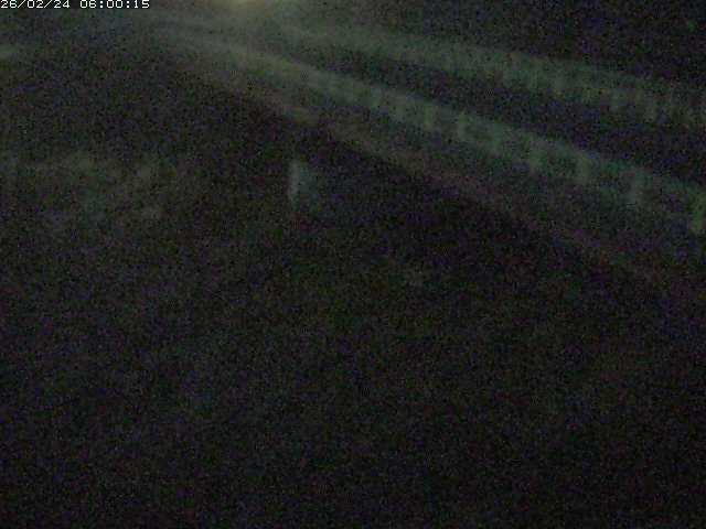 精進川１2026/02/25 4:20:00