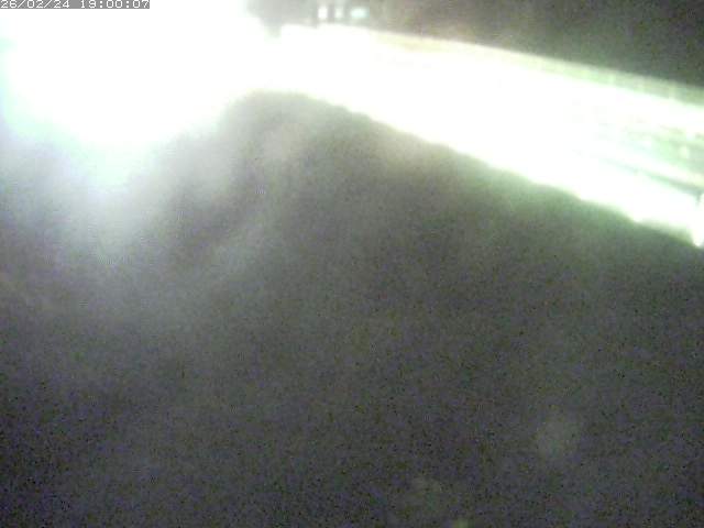 精進川１2026/02/25 4:20:00