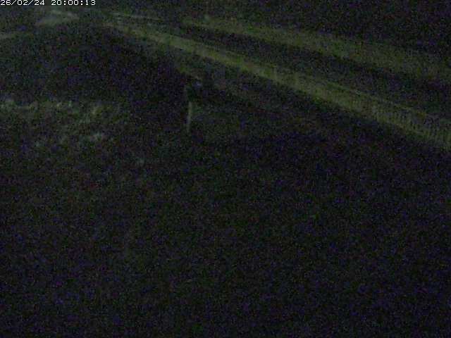 精進川１2026/02/25 4:20:00