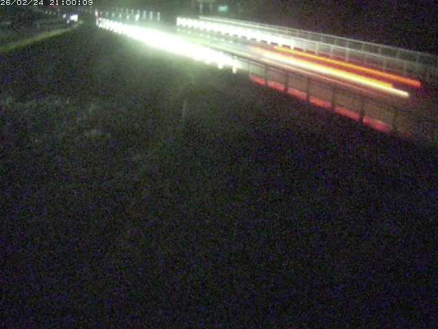 精進川１2026/02/25 4:20:00