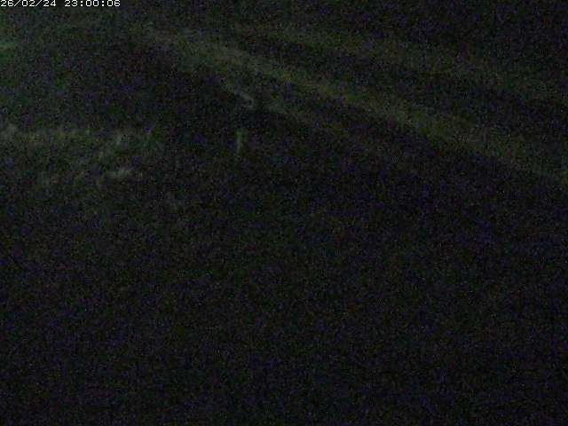 精進川１2026/02/25 4:20:00