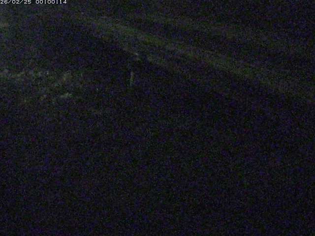 精進川１2026/02/25 4:20:00