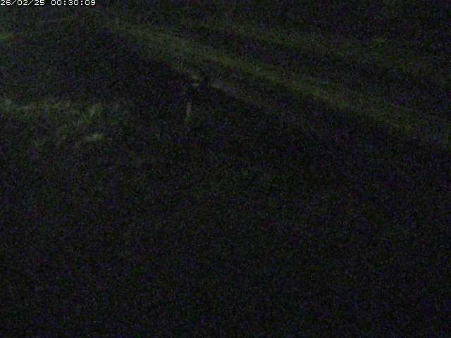 精進川１2026/02/25 4:20:00