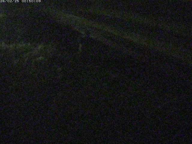 精進川１2026/02/25 4:20:00