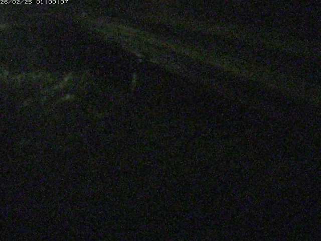 精進川１2026/02/25 4:20:00