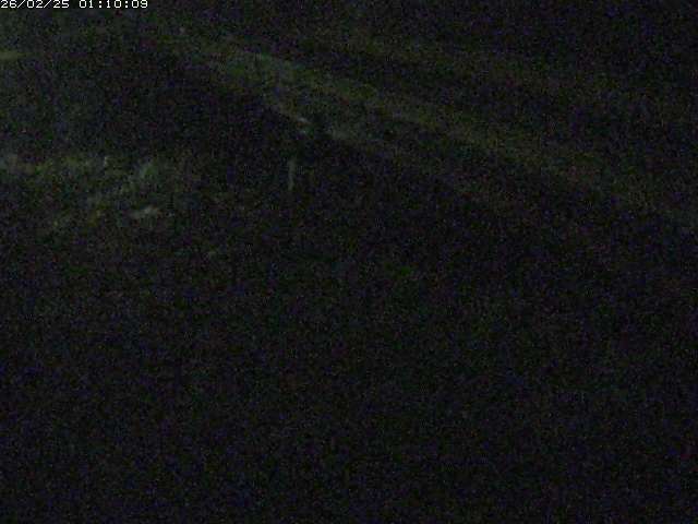 精進川１2026/02/25 4:20:00