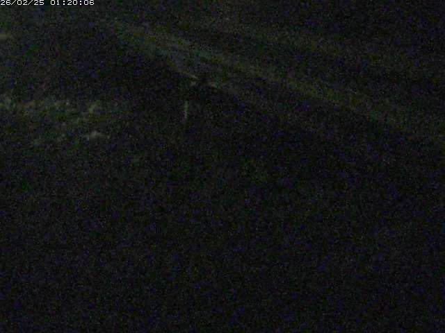 精進川１2026/02/25 4:20:00