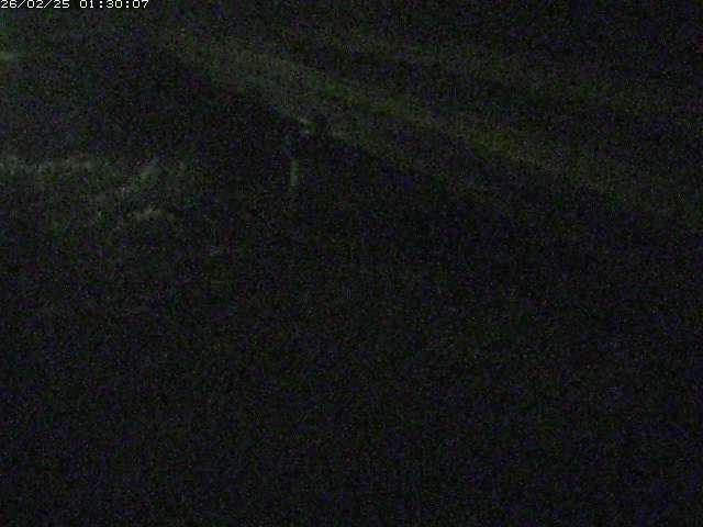 精進川１2026/02/25 4:20:00