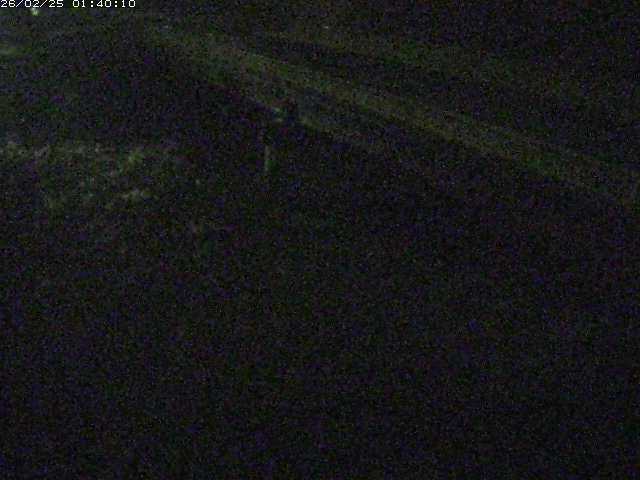 精進川１2026/02/25 4:20:00