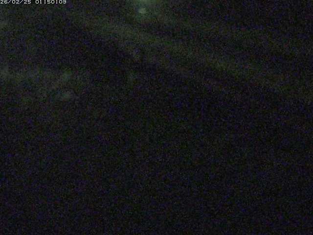 精進川１2026/02/25 4:20:00