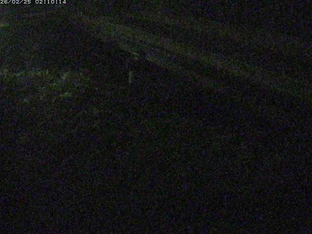 精進川１2026/02/25 4:20:00