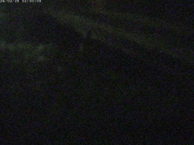 精進川１2026/02/25 4:20:00