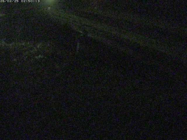 精進川１2026/02/25 4:20:00