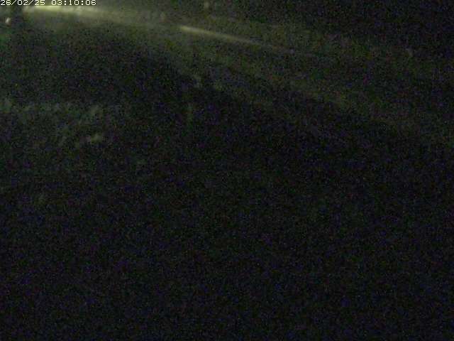 精進川１2026/02/25 4:20:00