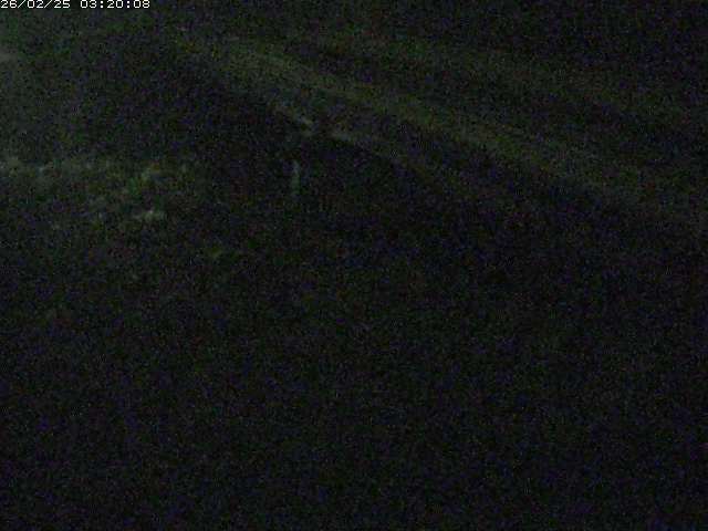 精進川１2026/02/25 4:20:00