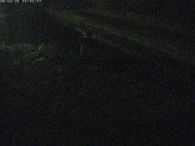 精進川１2026/02/25 4:20:00