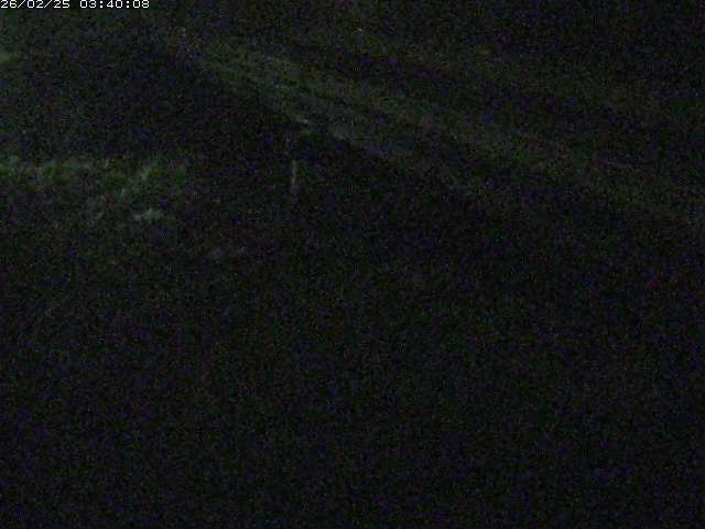 精進川１2026/02/25 4:20:00