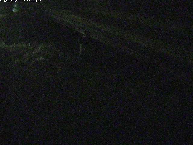 精進川１2026/02/25 4:20:00