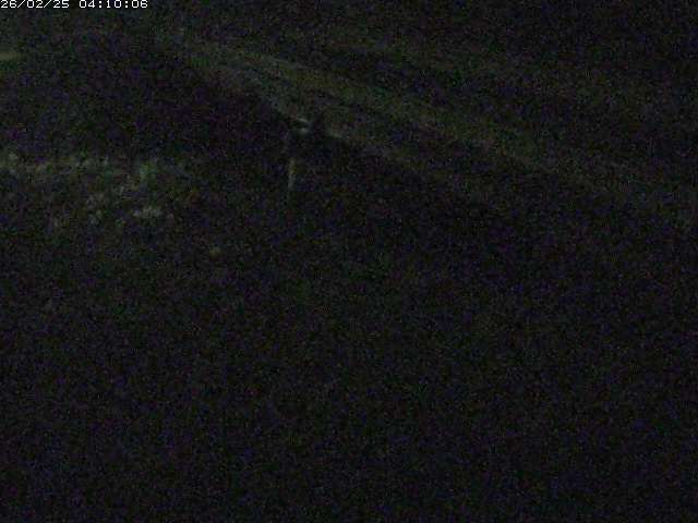 精進川１2026/02/25 4:20:00