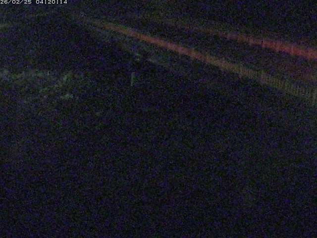 精進川１2026/02/25 4:20:00